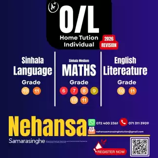 Home Tution and Individual Classes