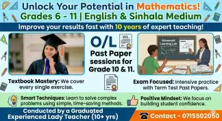 Home visit classes for grade 6-11(English medium)
