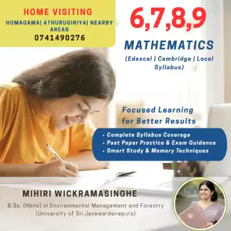 HOME-VISIT MATHEMATICS CLASSES