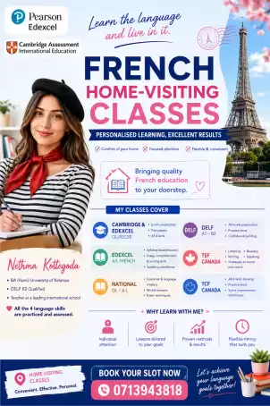 Home visiting French Classes