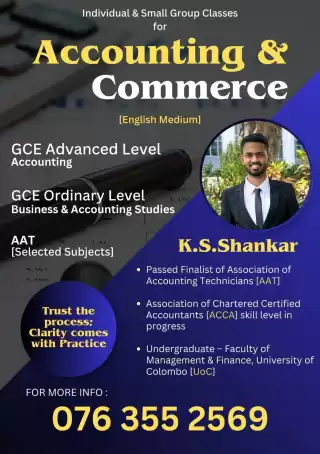 Individual and Group classes for Accounting and Economics.