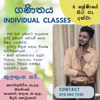 ගණිතය Individual Classes