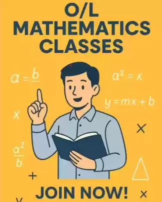 Individual Classes For O/L Mathss Home Visit For Grade 6 To 11.