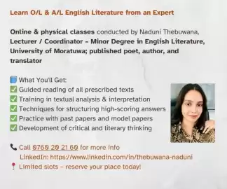 Individual English Literature Help