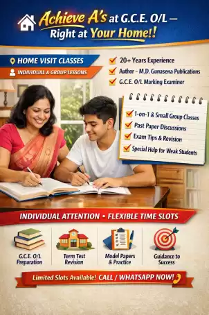 Individual & Group Classes