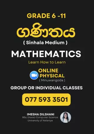 🎓 Individual & Group Maths Classes for Grades 6–11 (O/L)