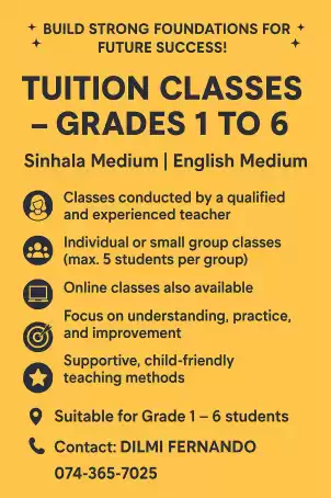 Individual & Group Tuition