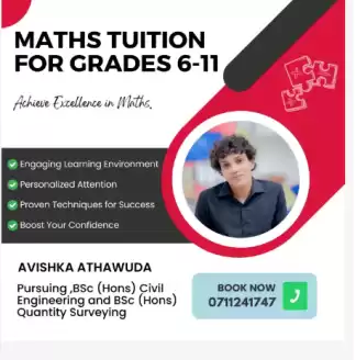 Individual Home Visit Tuition for Grade 6-11 Maths
