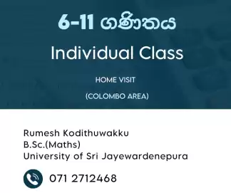 Individual Maths Class (6-11ගණිතය)