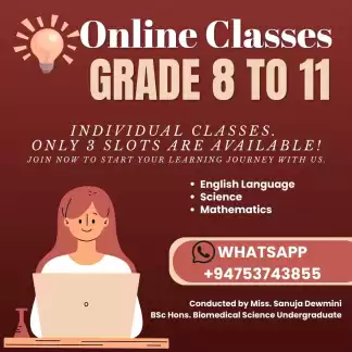 INDIVIDUAL ONLINE CLASSES GRADE 8-11
