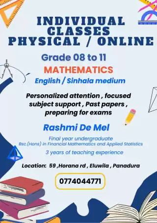 Induvidual Maths Classes