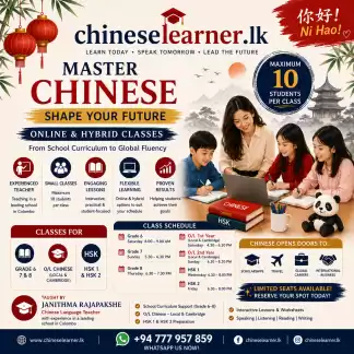 Interactive Chinese classes for Grades 6–8, O/L Local & Cambridge, and HSK 1–2.