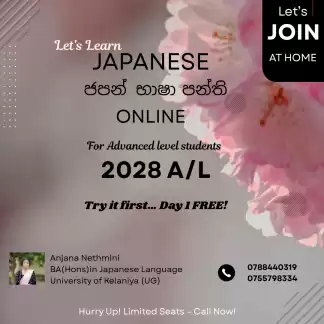 japanese classes