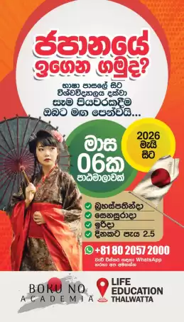Japanese language and higher studies