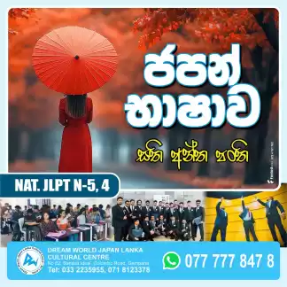 Japanese Language and Visa Assistance