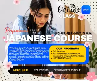 Japanese online class