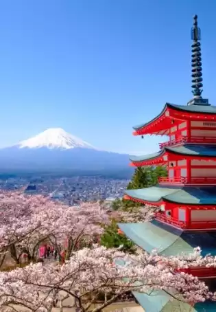 Japanese Revision Class for 2025 O/L Batch Japanese Revision Class for 2025 O/L Batch
