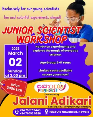 Junior science workshop