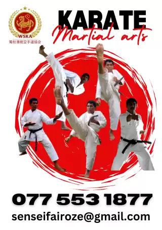 Karate Martial arts fitness classes