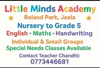 Little Minds Academy
