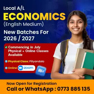 Local AL Economics