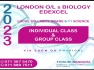 London (edexcel/Cambridge)O/l classes