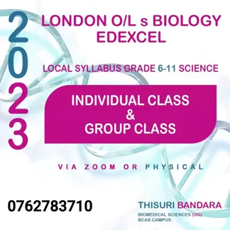 London o/l and local o/l classes