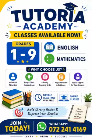 mathematic and english tution