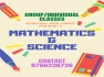 Mathematics and Science group/individual classes for International School students from grade 1 to 8
