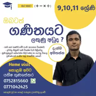 Mathematics Classes Grade 9-11