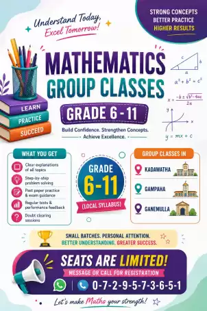 MATHEMATICS CLASSES Home visit (Grade 6-11)