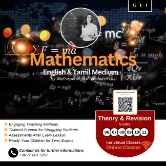 Mathematics Individual Classes