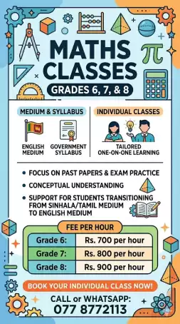 MATHEMATICS INDIVIDUAL CLASSES – GRADES 6, 7 & 8