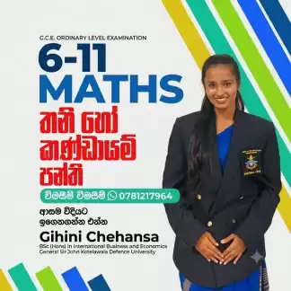 Mathematics individual, Group class, Home visits