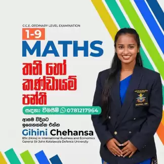 Mathematics individual, Group class, Home visits