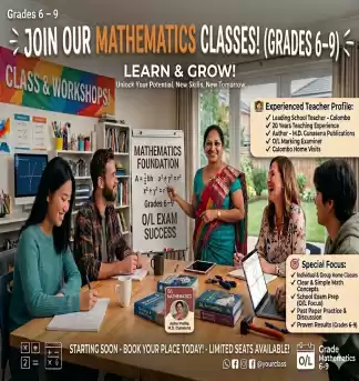 Mathematics Individual & Group Classes