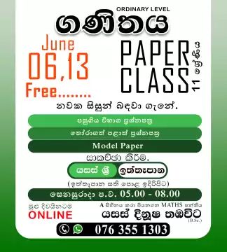 Mathematics Online Paper Class