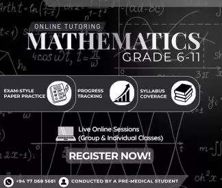 Mathematics Online Tutoring