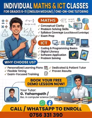 Maths and ICT individual classes for O/Ls