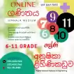Maths Class(Sinhala medium )6-11 Online
