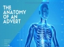 Medicine MBBS - Anatomy  Pharmacology Physiology 