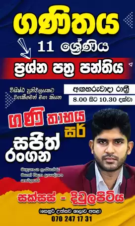 ගණිතය තනි හෝ කණ්ඩායම් පංති