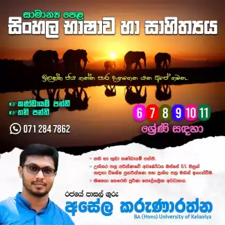 සිංහල පන්ති