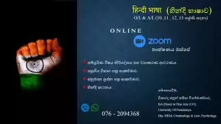 හින්දි භාෂාව