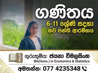 ගණිතය එපා වෙලාද? අපි එය පහසු කරමු!