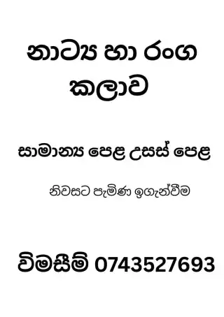 නාට්‍ය හා රංග කලාව (සිංහල මාධ්‍ය )
