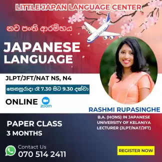N5/N4 Japanese Language paper class