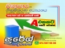 O/L Commerce - Individual and Group Class (Sinhala Medium)