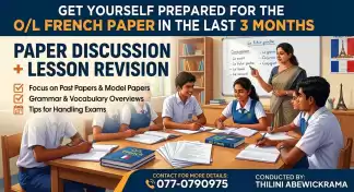 O/L French exam targeted revision & paper discussion