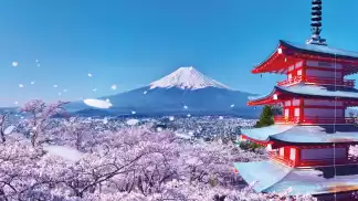 O\L JAPANESE CLASSES